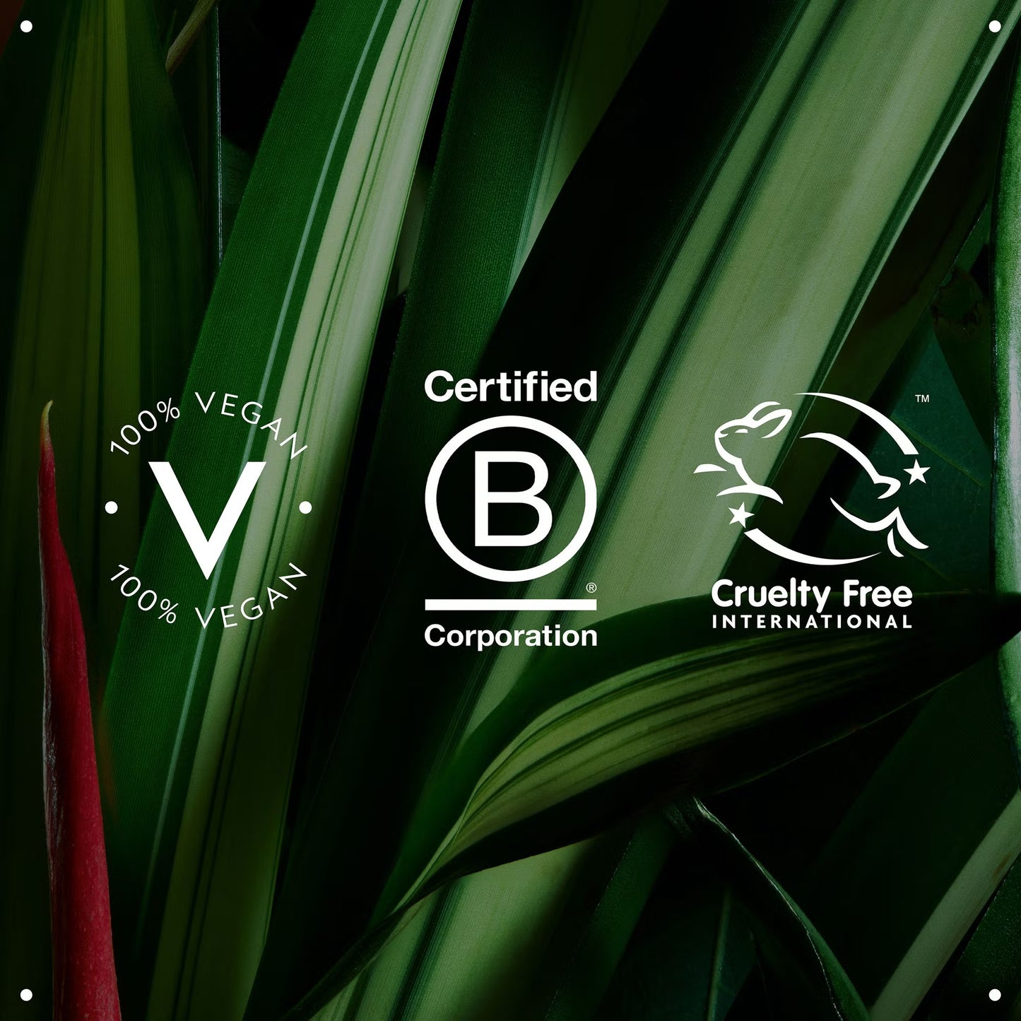 Botanical repair™ strengthening overnight serum