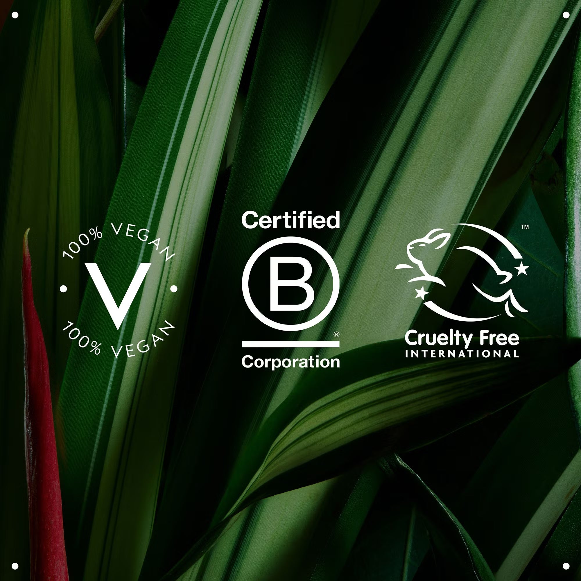 Botanical repair™ strengthening overnight serum